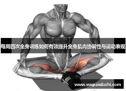 每周四次全身训练如何有效提升全身肌肉协调性与运动表现