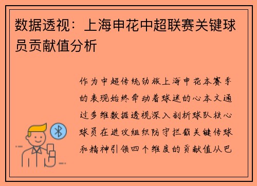 数据透视：上海申花中超联赛关键球员贡献值分析
