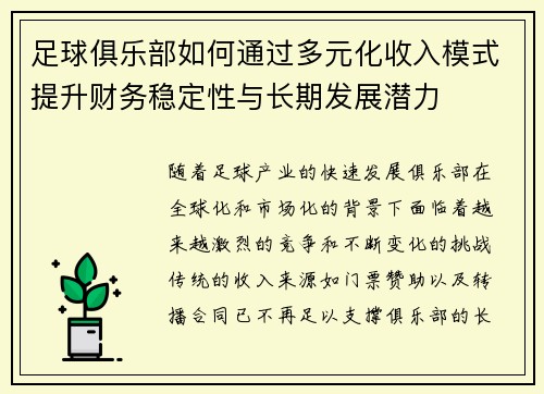 足球俱乐部如何通过多元化收入模式提升财务稳定性与长期发展潜力