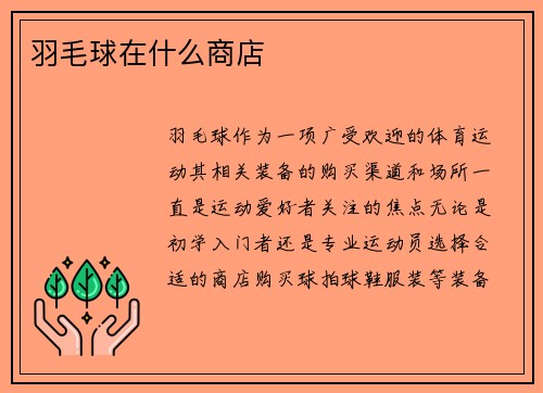 羽毛球在什么商店